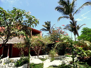 Pousada Lua Morena Canoa Quebrada Exterior photo