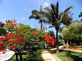 Pousada Lua Morena Canoa Quebrada Exterior photo